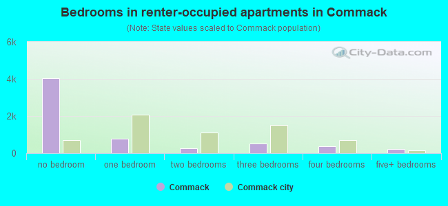 Bedrooms in renter-occupied apartments in Commack