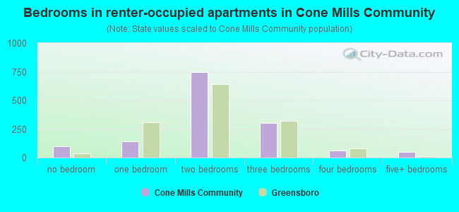 Bedrooms in renter-occupied apartments in Cone Mills Community