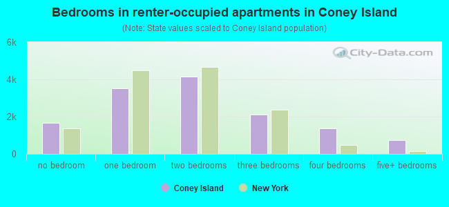 Bedrooms in renter-occupied apartments in Coney Island