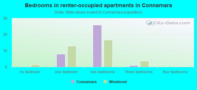 Bedrooms in renter-occupied apartments in Connamara