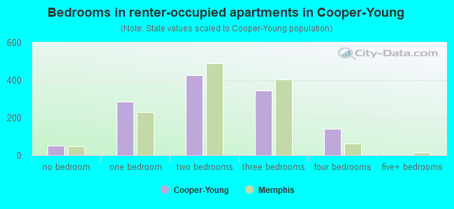 Bedrooms in renter-occupied apartments in Cooper-Young