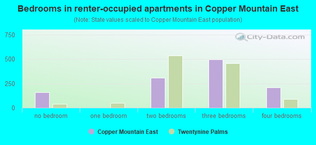 Bedrooms in renter-occupied apartments in Copper Mountain East