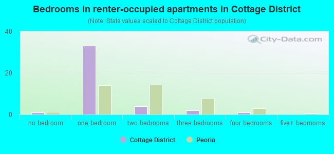 Bedrooms in renter-occupied apartments in Cottage District