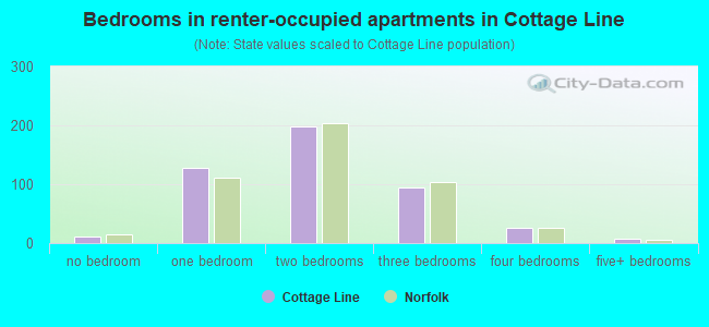 Bedrooms in renter-occupied apartments in Cottage Line