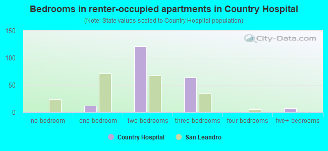 Bedrooms in renter-occupied apartments in Country Hospital