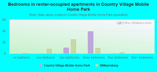 Bedrooms in renter-occupied apartments in Country Village Mobile Home Park