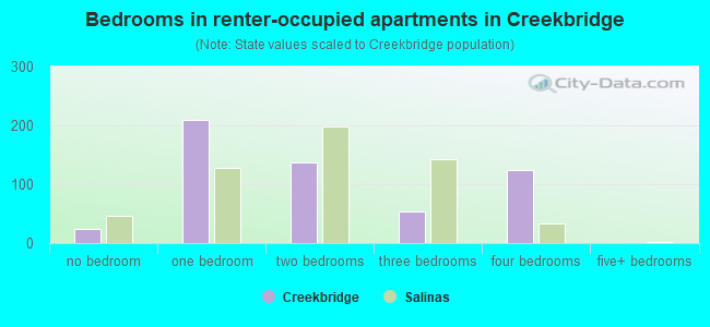 Bedrooms in renter-occupied apartments in Creekbridge