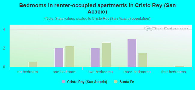 Bedrooms in renter-occupied apartments in Cristo Rey (San Acacio)