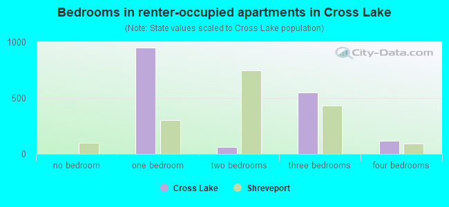 Bedrooms in renter-occupied apartments in Cross Lake