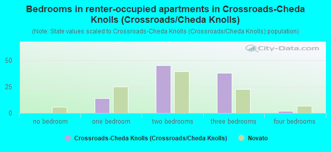 Bedrooms in renter-occupied apartments in Crossroads-Cheda Knolls (Crossroads/Cheda Knolls)
