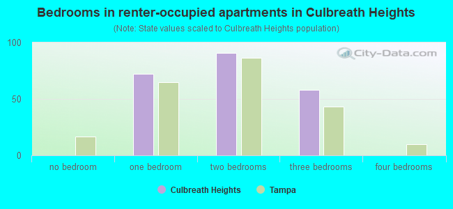 Bedrooms in renter-occupied apartments in Culbreath Heights