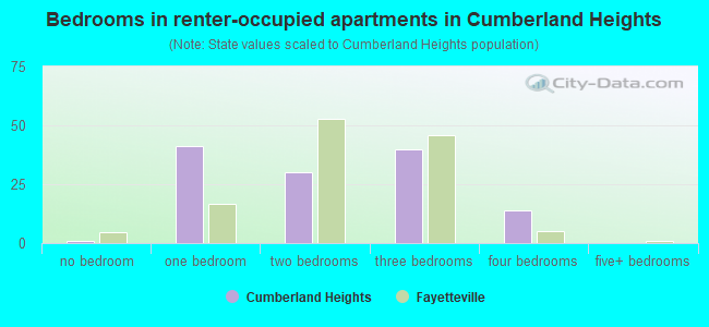 Bedrooms in renter-occupied apartments in Cumberland Heights