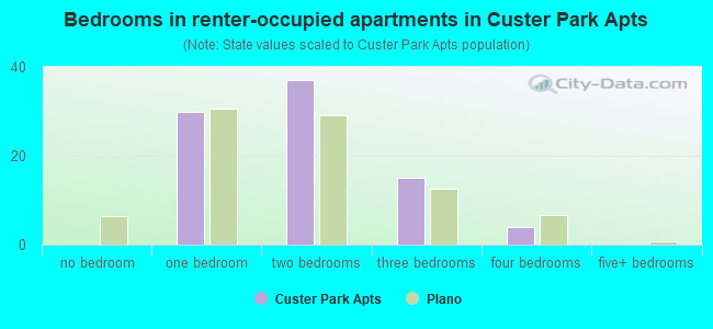 Bedrooms in renter-occupied apartments in Custer Park Apts