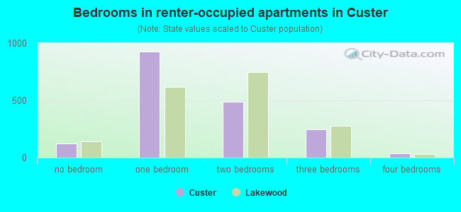 Bedrooms in renter-occupied apartments in Custer