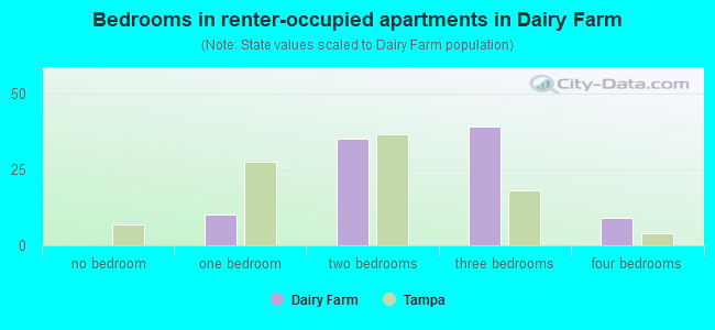 Bedrooms in renter-occupied apartments in Dairy Farm