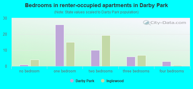 Bedrooms in renter-occupied apartments in Darby Park