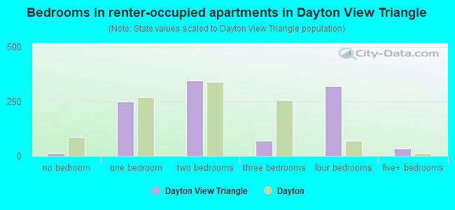 Bedrooms in renter-occupied apartments in Dayton View Triangle