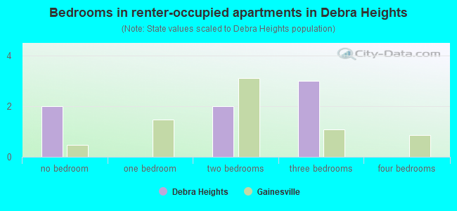 Bedrooms in renter-occupied apartments in Debra Heights