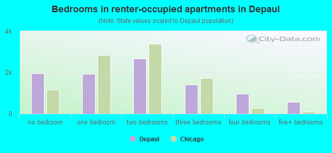 Bedrooms in renter-occupied apartments in Depaul