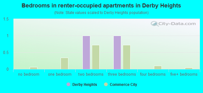 Bedrooms in renter-occupied apartments in Derby Heights