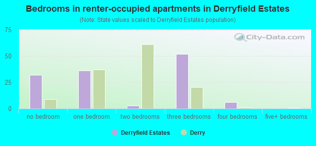 Bedrooms in renter-occupied apartments in Derryfield Estates