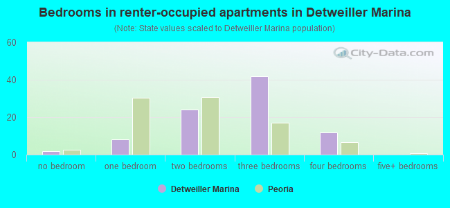Bedrooms in renter-occupied apartments in Detweiller Marina
