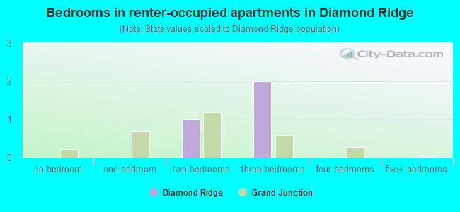 Bedrooms in renter-occupied apartments in Diamond Ridge