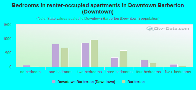 Bedrooms in renter-occupied apartments in Downtown Barberton (Downtown)
