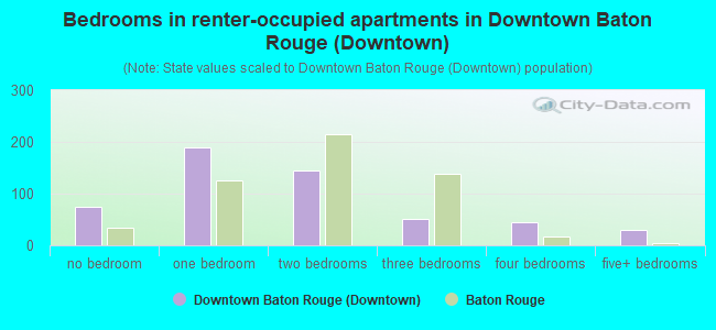 Bedrooms in renter-occupied apartments in Downtown Baton Rouge (Downtown)