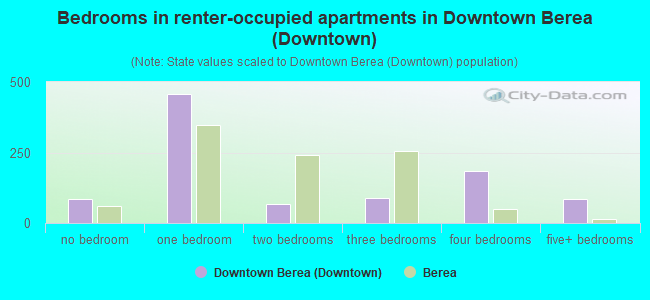 Bedrooms in renter-occupied apartments in Downtown Berea (Downtown)