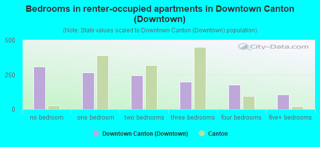 Bedrooms in renter-occupied apartments in Downtown Canton (Downtown)