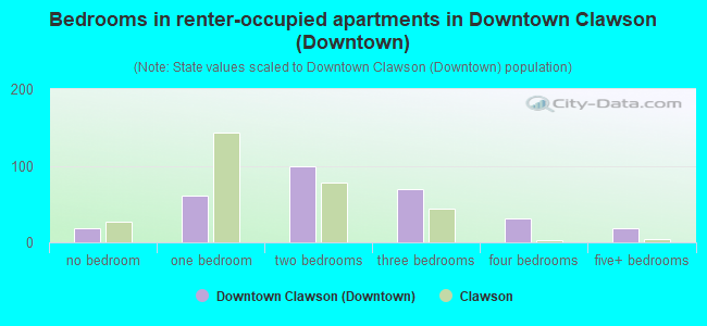 Bedrooms in renter-occupied apartments in Downtown Clawson (Downtown)