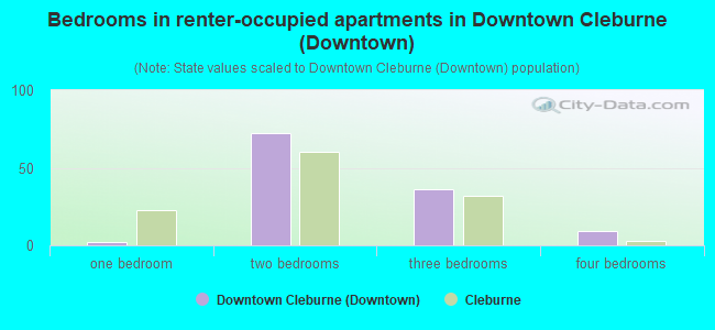 Bedrooms in renter-occupied apartments in Downtown Cleburne (Downtown)