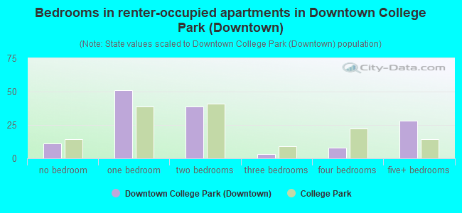 Bedrooms in renter-occupied apartments in Downtown College Park (Downtown)