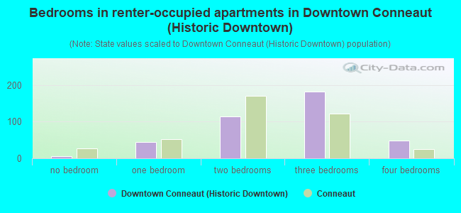 Bedrooms in renter-occupied apartments in Downtown Conneaut (Historic Downtown)
