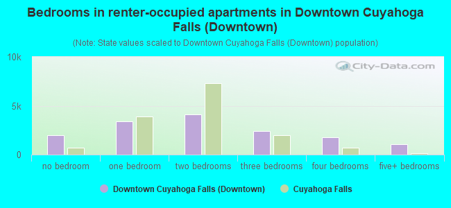 Bedrooms in renter-occupied apartments in Downtown Cuyahoga Falls (Downtown)