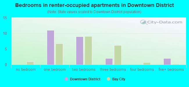 Bedrooms in renter-occupied apartments in Downtown District