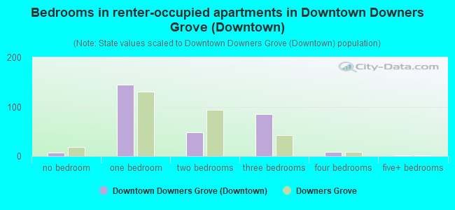 Bedrooms in renter-occupied apartments in Downtown Downers Grove (Downtown)