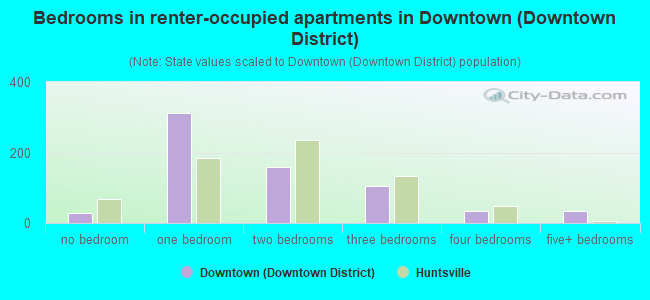 Bedrooms in renter-occupied apartments in Downtown (Downtown District)