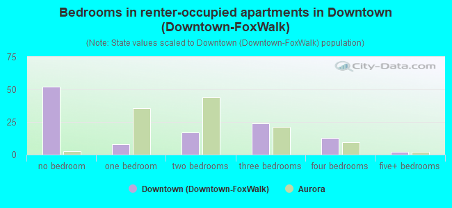 Bedrooms in renter-occupied apartments in Downtown (Downtown-FoxWalk)