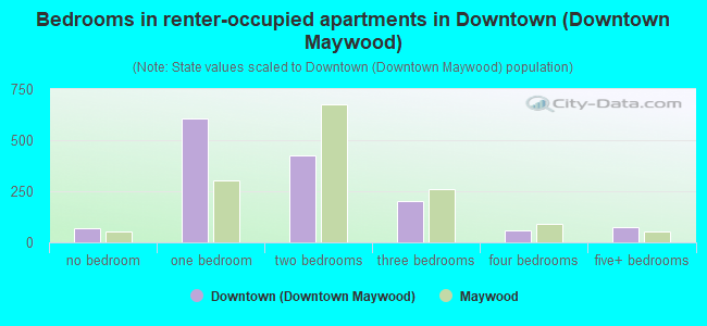 Bedrooms in renter-occupied apartments in Downtown (Downtown Maywood)