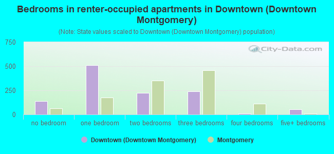 Bedrooms in renter-occupied apartments in Downtown (Downtown Montgomery)
