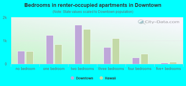 Bedrooms in renter-occupied apartments in Downtown