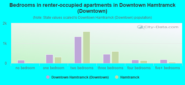 Bedrooms in renter-occupied apartments in Downtown Hamtramck (Downtown)