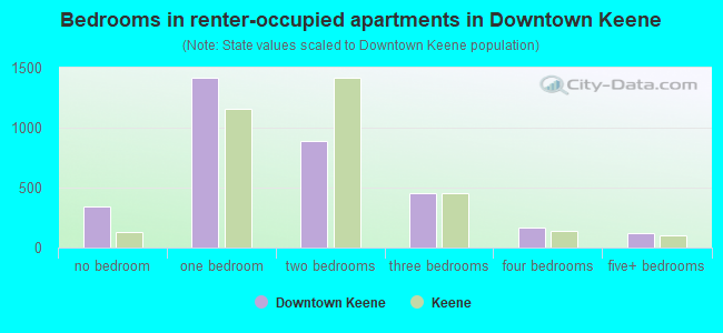 Bedrooms in renter-occupied apartments in Downtown Keene