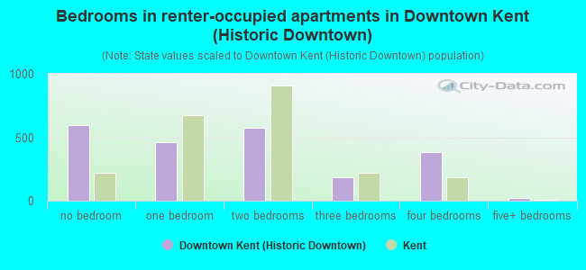 Bedrooms in renter-occupied apartments in Downtown Kent (Historic Downtown)