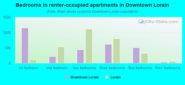 Bedrooms in renter-occupied apartments in Downtown Lorain