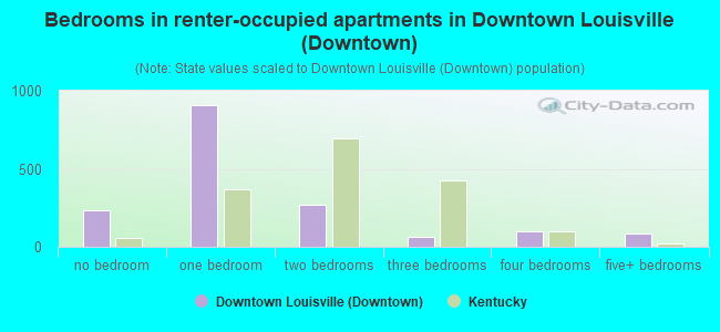 Bedrooms in renter-occupied apartments in Downtown Louisville (Downtown)