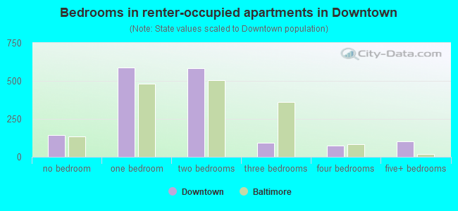 Bedrooms in renter-occupied apartments in Downtown