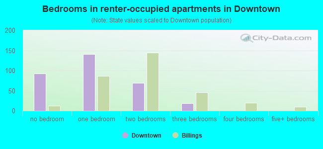 Bedrooms in renter-occupied apartments in Downtown